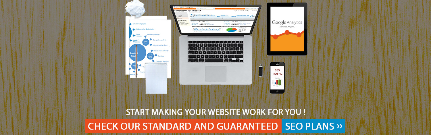 Start Making Your Website Work For You ! Check Our Standard and Guaranteed SEO Plans >>